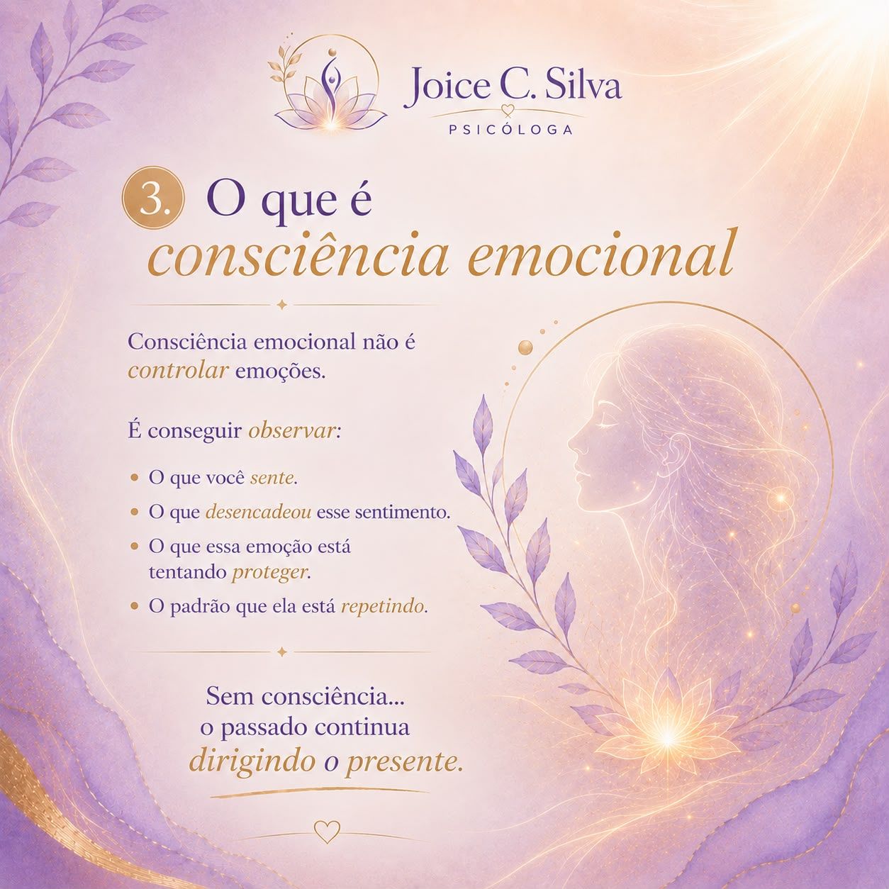 3. O que é consciência emocional — não é controlar emoções, é conseguir observar.